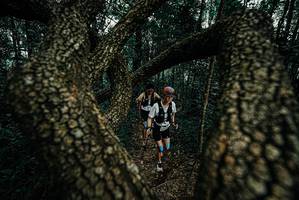 BIB: 
                            <button type="button" onclick="openModal(25692206)" class="btn btn-primary btn-sm float-right btn-popup" data-toggle="modal" data-target=".modal-high-quality">
                        <i class="fas fa-shopping-cart"></i> Add to Cart
                    </button>
                                            <button type="button" onclick="isThisMe(25692206, true)" class="btn btn-success btn-sm float-right btn-popup btn-isme hidden" data-toggle="tooltip" data-placement="bottom" title="นี่คือรูปของคุณใช่ไหม คลิกที่นี่เพื่อเอาเข้าอัลบั้ม">
                        <i class="fas fa-plus"></i> Add to album
                    </button>
                    <button type="button" onclick="isThisMe(25692206, false)" class="btn btn-warning btn-sm float-right btn-popup btn-isnotme hidden">
                        <i class="fas fa-ban"></i> Remove from album
                    </button>